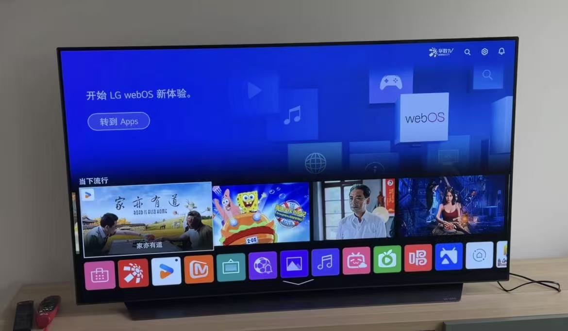 LG 55CXPCA 电视